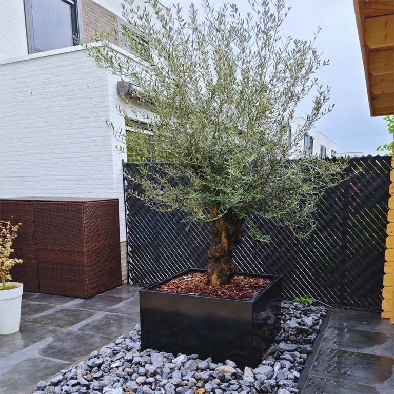 Korito za rože iz prašno barvanega jekla Miami 100 x 100 cm