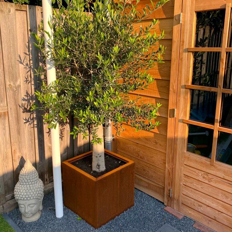 Korito za rože iz jekla corten Miami 50 x 50 cm