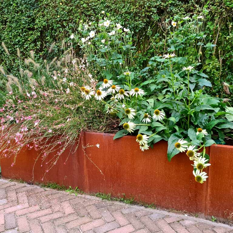 Korito za rože iz jekla corten Texas xxl 300 x 80 cm
