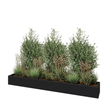 Poliester Korito za rože - Pravokotnik - 200 x 30 x 20 cm - RAL7021 mat (črno-siva) - Z dnom