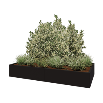 Jekleno korito za rože XXL - Pravokotnik - 200 x 100 x 30 cm - RAL9005 mat (črna) - Brez dnoplošče