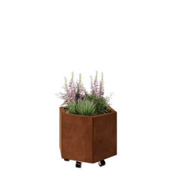 Corten jekleno korito za rože - Šestkotnik - 59,3 x 52 x 40 cm - Z dnoploščo - S kolesi