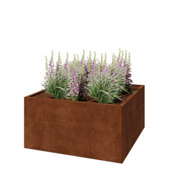 Corten jekleno korito za rože - Kvadrat - 120 x 120 x 60 cm - Brez dnoplošče