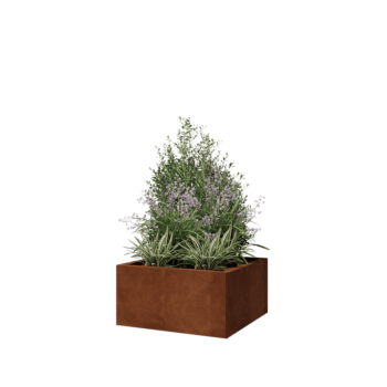 Corten jekleno korito za rože - Kvadrat - 60 x 60 x 30 cm - Brez dnoplošče