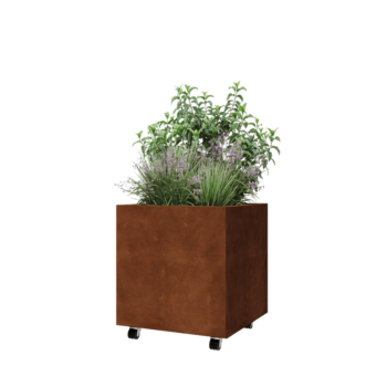 Corten jekleno korito za rože - Kvadrat - 60 x 60 x 60 cm - Z dnoploščo - S kolesi