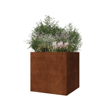 Corten jekleno korito za rože - Kvadrat - 70 x 70 x 70 cm - Brez dnoplošče