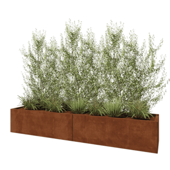 Corten jekleno korito za rože XXL - Pravokotnik - 240 x 50 x 40 cm - Brez dnoplošče