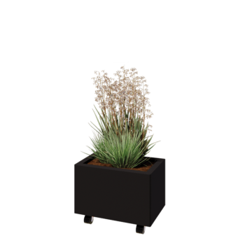 Jekleno korito za rože - Pravokotnik - 50 x 30 x 30 cm - RAL9005 mat (črna) - Z dnoploščo - S kolesi