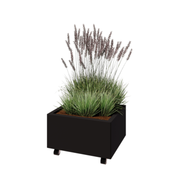 Jekleno korito za rože - Pravokotnik - 60 x 50 x 30 cm - RAL9005 mat (črna) - Z dnoploščo - S kolesi