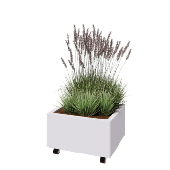 Jekleno korito za rože - Pravokotnik - 60 x 50 x 30 cm - RAL9010 mat (bela) - Z dnoploščo - S kolesi