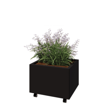 Jekleno korito za rože - Pravokotnik - 60 x 50 x 40 cm - RAL9005 mat (črna) - Z dnoploščo - S kolesi