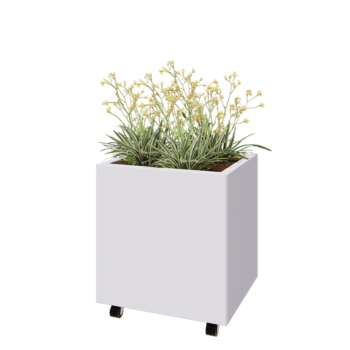 Jekleno korito za rože - Pravokotnik - 60 x 50 x 60 cm - RAL9010 mat (bela) - Z dnoploščo - S kolesi