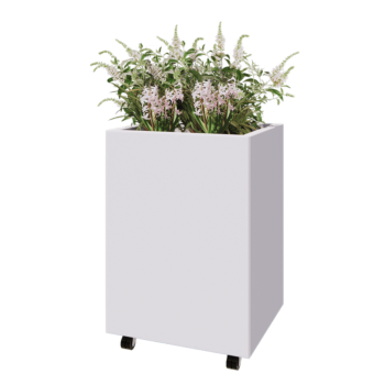 Jekleno korito za rože - Pravokotnik - 60 x 50 x 80 cm - RAL9010 mat (bela) - Z dnoploščo - S kolesi