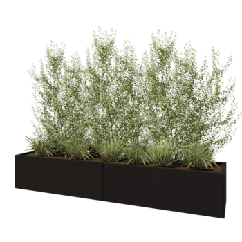 Jekleno korito za rože XXL - Pravokotnik - 240 x 50 x 40 cm - RAL9005 mat (črna) - Brez dnoplošče