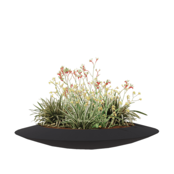 Poliester Korito za rože - Skleda - Ø 120 x 20 cm - RAL7021 mat (črno-siva) - Z dnom