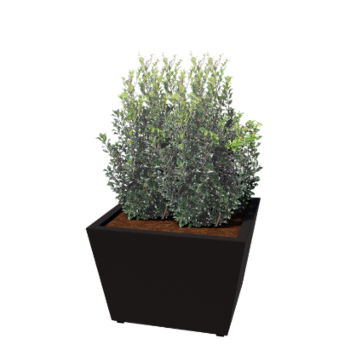 Jekleno korito za rože - Stožec - 80 x 80 x 51,5 cm - Varjeno - RAL9005 mat (črna) - Z dnoploščo