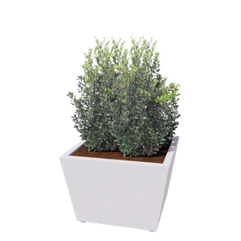 Jekleno korito za rože - Stožec - 80 x 80 x 51,5 cm - Varjeno - RAL9010 mat (bela) - Z dnoploščo