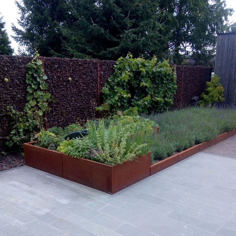 Škarpa iz jekla corten ravno 100 cm (višina 30 cm)