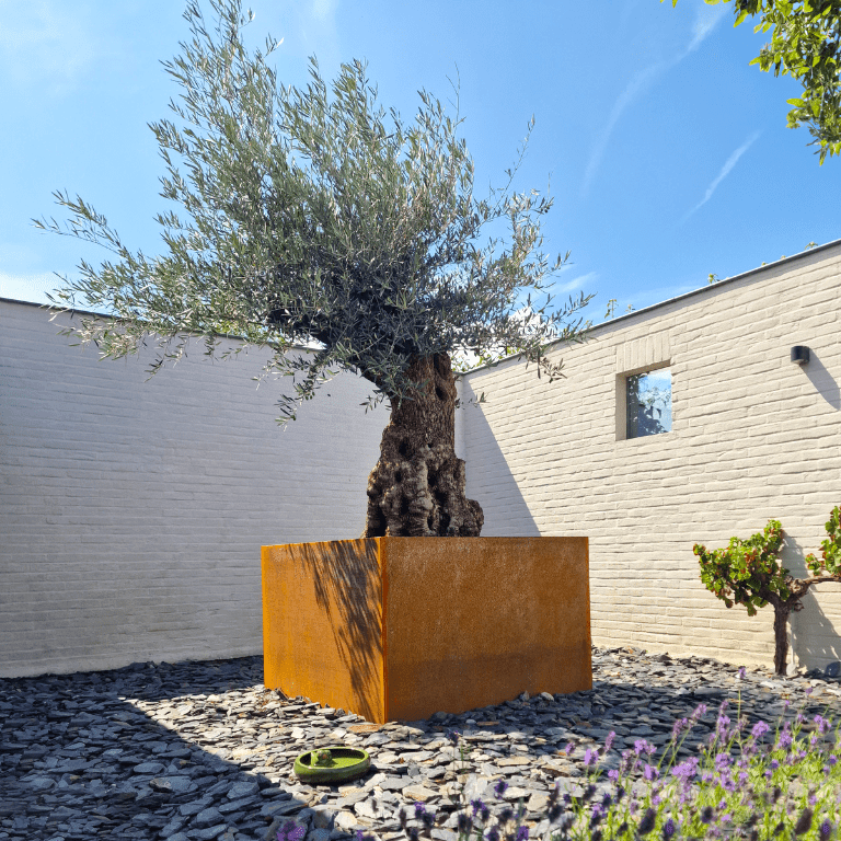 Varjeno korito za rože iz jekla corten Montana 100 x 100 x 80 cm
