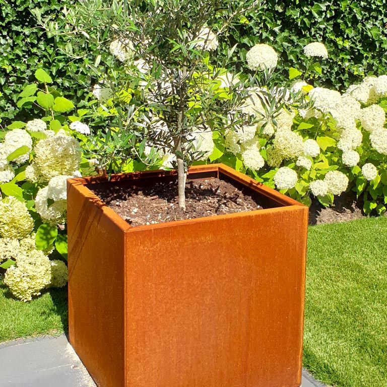 Korito za rože iz jekla corten Miami 70 x 70 cm