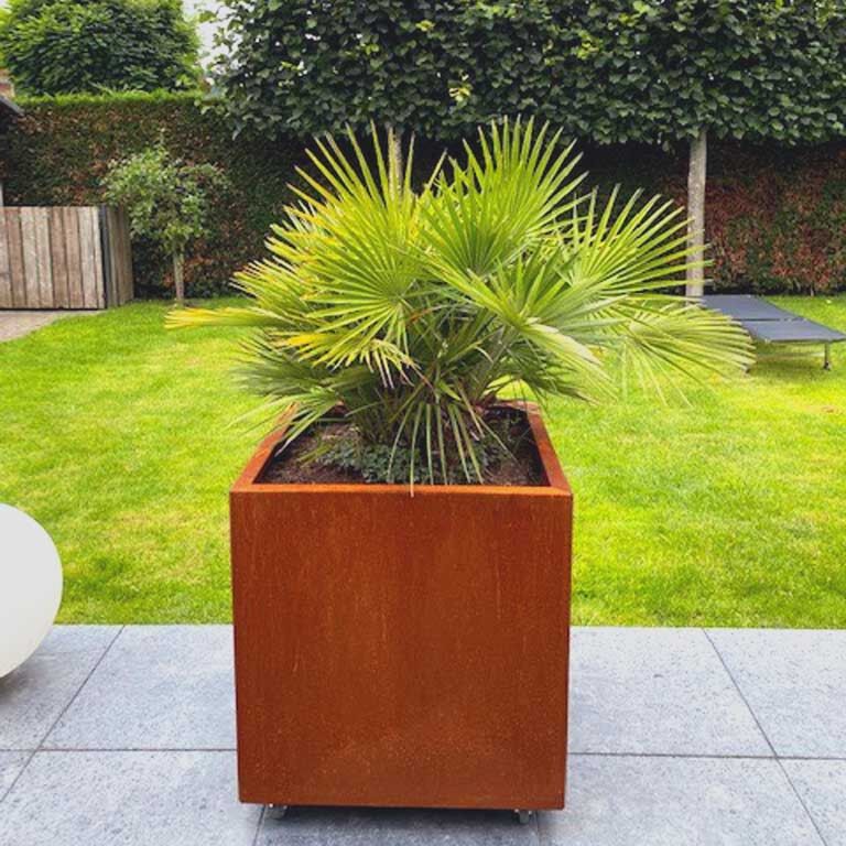Korito za rože iz jekla corten Miami 70 x 70 cm
