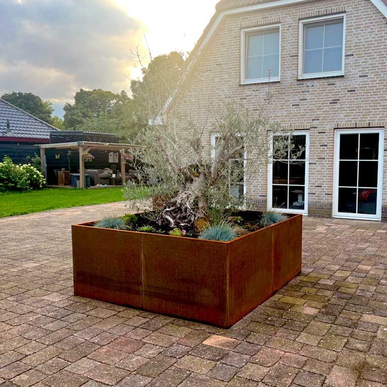 Korito za rože iz jekla corten Miami xxl 240 x 240 cm