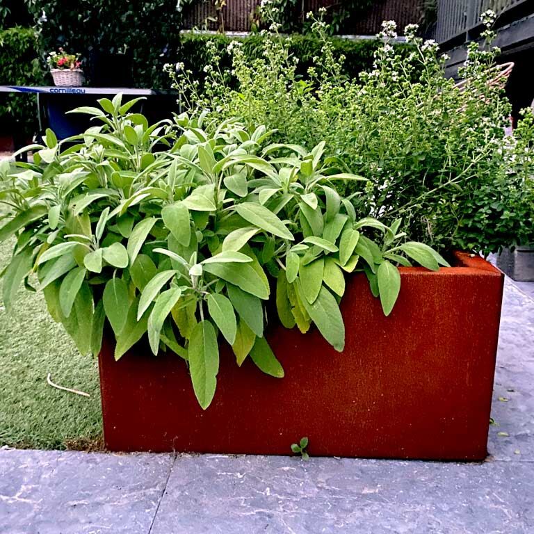 Korito za rože iz jekla corten Texas 50 x 60 cm