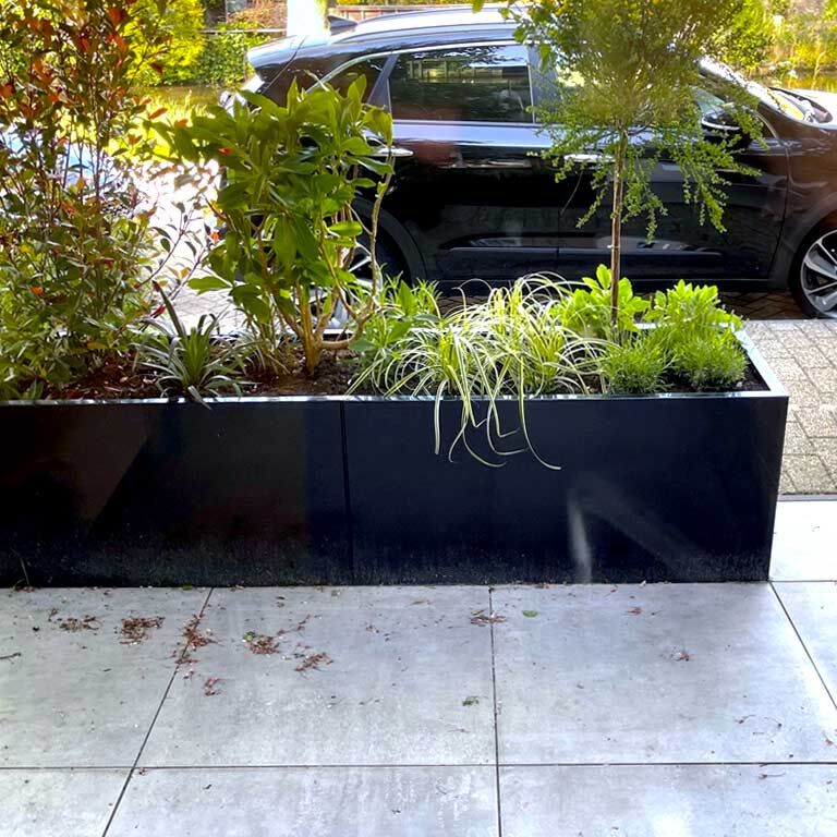 Korito za rože iz prašno barvanega jekla Texas xxl 240 x 50 cm