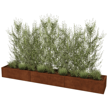 Korito za rože iz jekla corten Texas xxl 300 x 50 cm