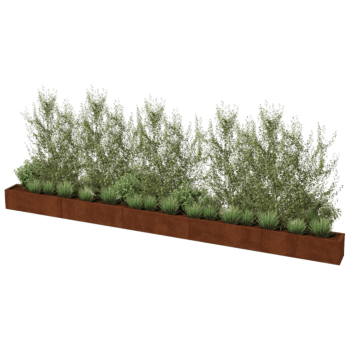 Korito za rože iz jekla corten Texas xxl 500 x 30 cm
