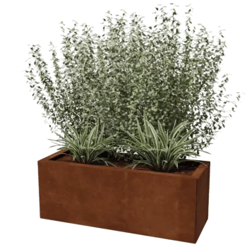 Corten jekleno korito za rože - Pravokotnik - 30 x 80 cm