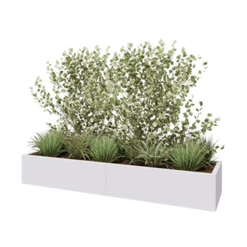 Jekleno korito za rože XXL - Pravokotnik - 200 x 50 x 30 cm - RAL9010 mat (bela) - Brez dnoplošče