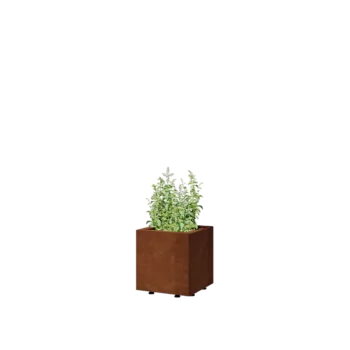 Corten jekleno korito za rože - Kvadrat - 30 x 30 x 30 cm - Z dnoploščo - Z nogami
