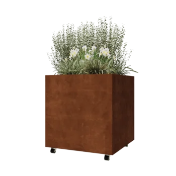 Corten jekleno korito za rože - Kvadrat - 80 x 80 x 80 cm - Z dnoploščo - S kolesi