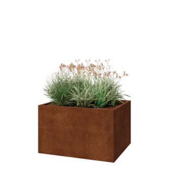 Corten jekleno korito za rože - Pravokotnik - 100 x 80 x 60 cm - Brez dnoplošče