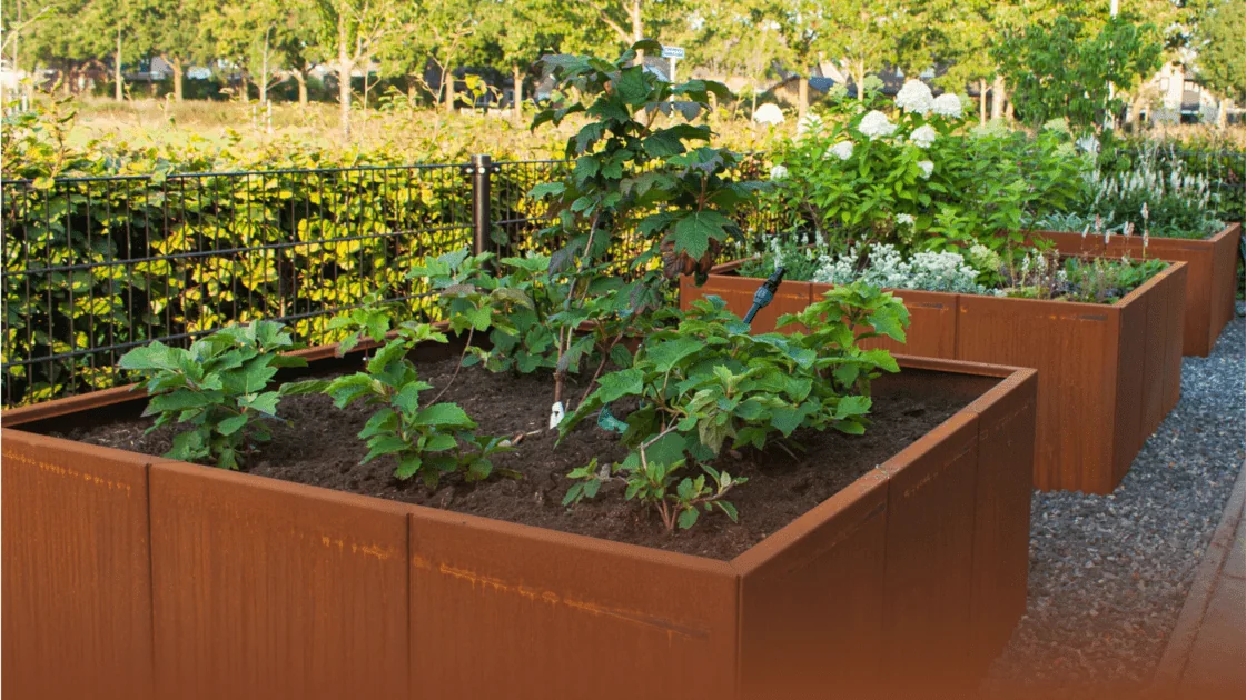 Cortenstaal Vodnik: vse, kar morate vedeti o tem materialu