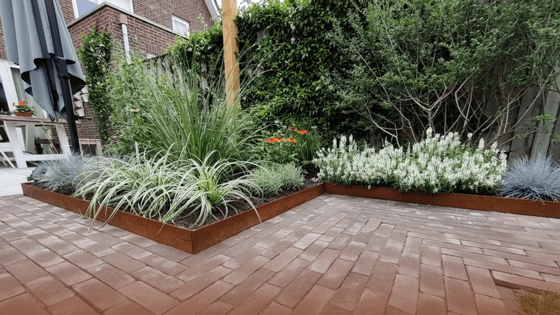 Kakšne različne robove meja imamo?